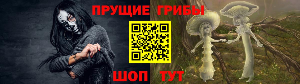 Псилоцибиновые грибы мицелий  Вход с VPN  Галлюциногенные грибы GOLDEN TEACHER  Новоуральск 